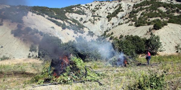 Elazığ'da 250 askerle uyuşturucu operasyonu