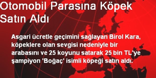 Otomobil parasına köpek satın aldı