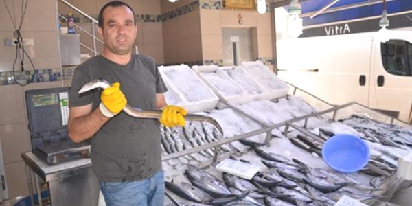 Yılan balığı görenleri şaşırttı