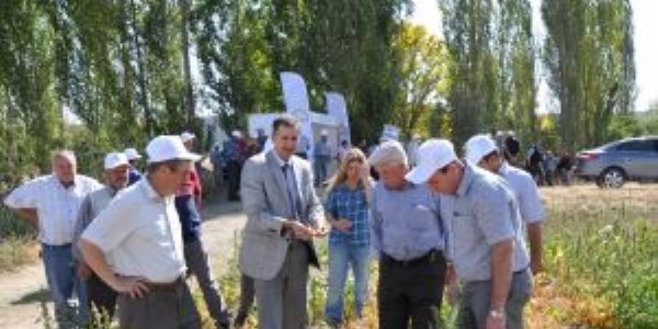 Kuru fasulye i�in 'tarla g�n�'