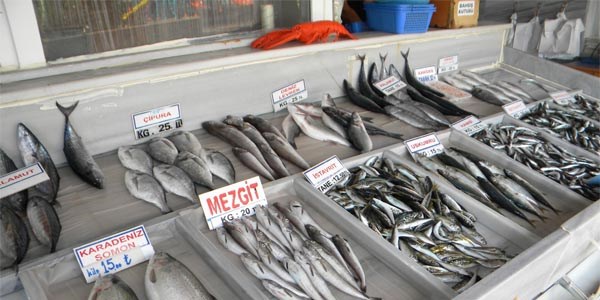 Marmara Denizi'nde bal�k krizi