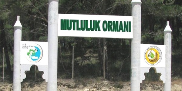 Mutluluk ormanında ücretsiz düğün