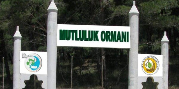 Yeni evlenen çiftler için mutluluk ormanı kuruldu