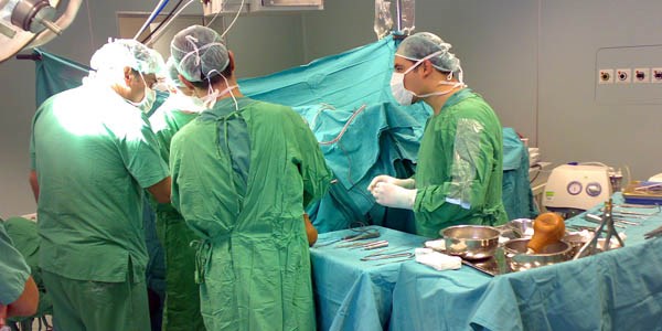 T�p terimlerini T�rk�ele�tirme �al��mas�