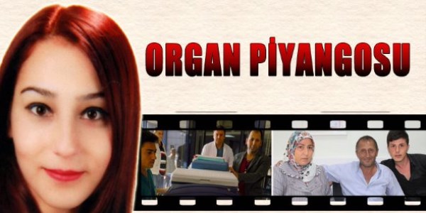 Organ piyangosu sahiplerini buldu