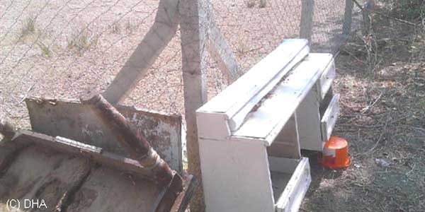 Antrenman sahas�nda ke�i beslemi�ler