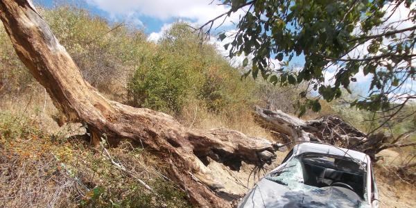 Üniversiteli Merve'nin öldüğü yolda çalışma başlatıldı