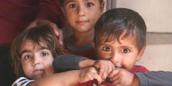Tek moral kaynakları kafesteki kanarya