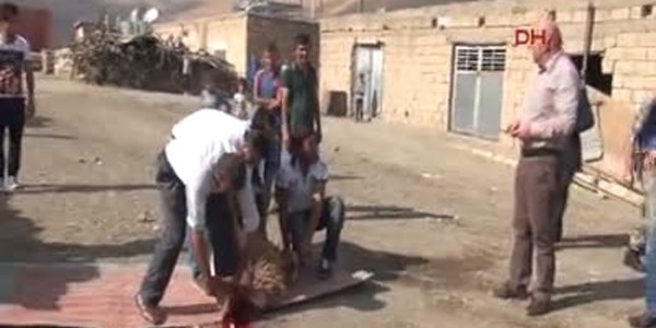 İlk kez vali gören gören köylüler, kurban kesip kanını alnına sürdü