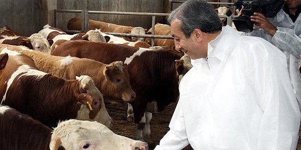 Eker: Kurbanl�k hayvan say�s�nda s�k�nt� yok