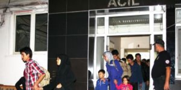 Kaçak göçmenler zeytinlikte yakalandı