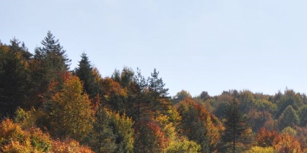 Yedigöller'de yol yapım ve çevre düzenlemesi