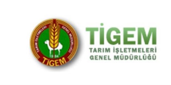 TİGEM'de 46 mühendisten 6'sı göreve başlamadı