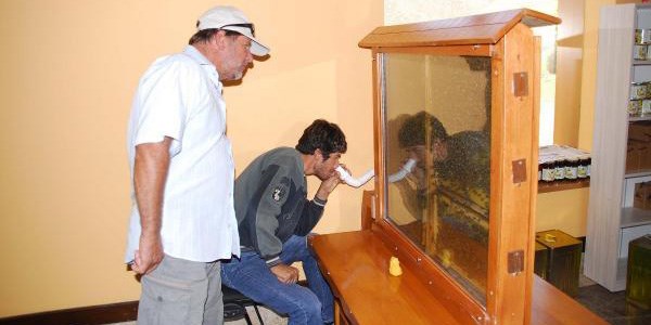 Arı ürünleri ile tedavi olmayı amaçlıyorlar