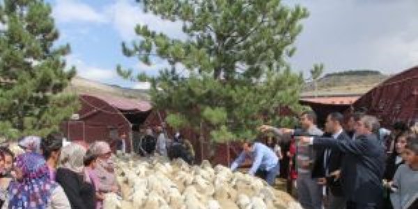 Yozgat'ta bu yıl yetim çocukların evinde de kurban sevinci yaşanacak