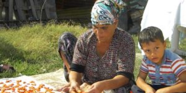 Edirne'de tarhana sezonu başladı
