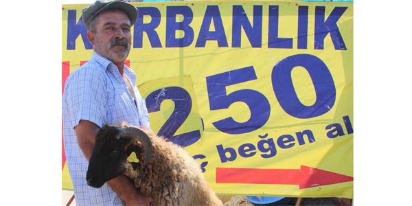 250 liraya kurbanlık