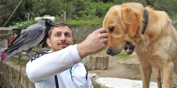 Köpek ile karganın kıskandıran dostluğu
