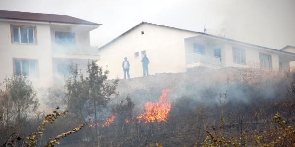 Yalova'da korkutan yangın