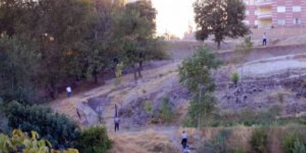Adıyaman'da huzur operasyonu
