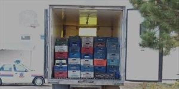 489 avc�ya 508 bin TL ceza