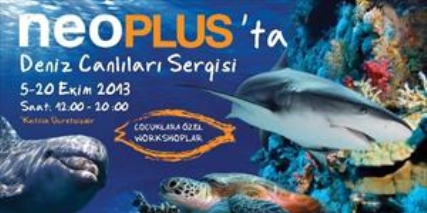 Deniz canlıları sergisi Neoplus'ta