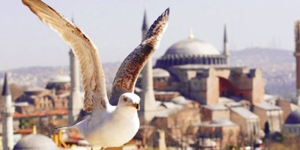 Tarihi yarımadaya özel yasa önerisi