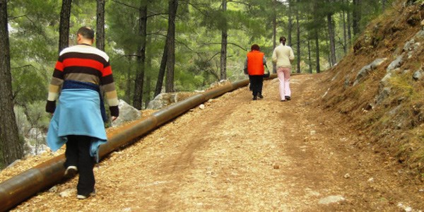 Yürüyüş, göğüs kanseri riskini azaltabilir