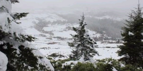 Soğuk ve yağışlı hava Sisdağı'nı beyaza bürüdü