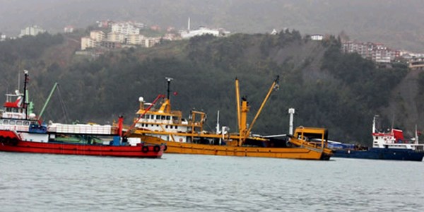 Amasral� bal�k��lar denize a��lam�yor