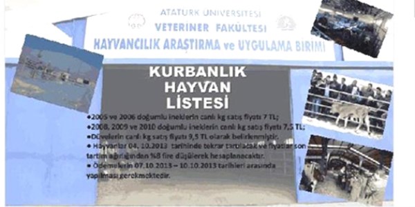Üniversite internetten kurbanlık satıyor