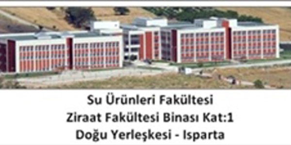 Ek yerleştirme de işe yaramadı