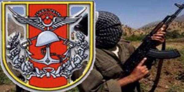 Askeri birliğe malzeme taşıyan TIR yakıldı