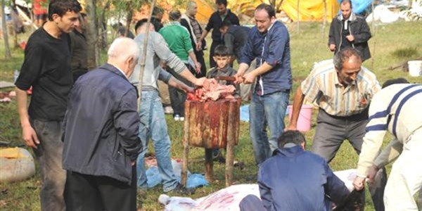 Kurban keserken dikkat: Cezalar el yakıyor