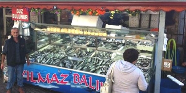 Amasra'da balık bereketi
