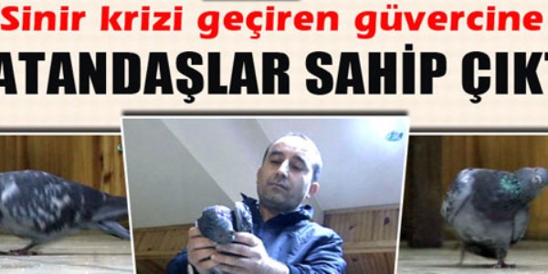 Sinir krizi ge�iren g�vercine vatanda�lar b�yle sahip ��kt�