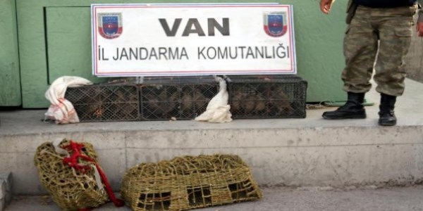 Kınalı keklik avcısına 9 bin 695 lira ceza