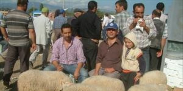 Havran'da kurbanlklara ilgi yok