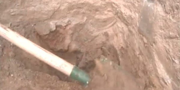 Kale kazılarından 'cin darı' çıktı