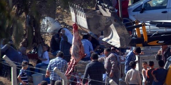 İzmir'de hijyenik olmayan kesimlerin önüne geçilemedi