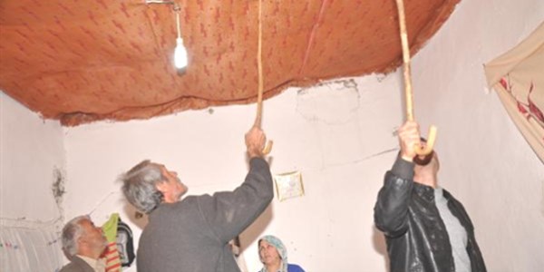 Yılanlar, evlerini istila etti