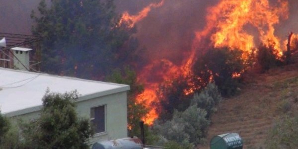 Elektrik telinden çıkan kıvılcım 10 hektarlık ormanı kül etti