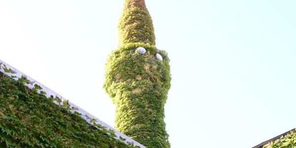 Botanik bah�esi gibi cami