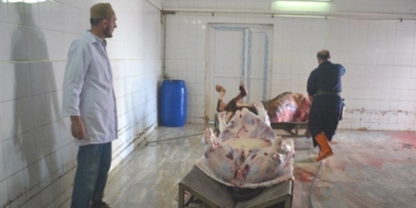Çerkezköy'de 95 kurbanlık ücretsiz kesildi