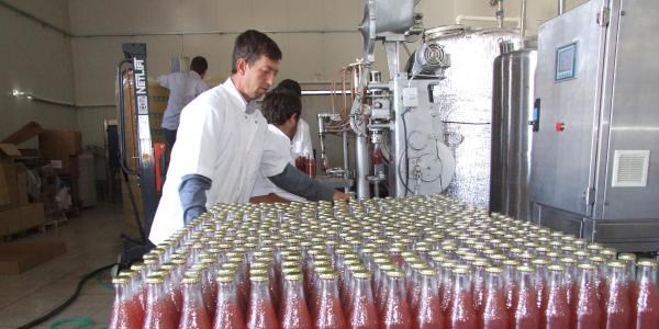 Yasa değişti, şaraptan üzüm suyuna döndüler
