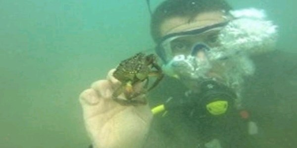 Giresun'un su altı zenginlikleri fotoğraflanacak