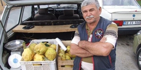1 kiloluk ayvalar görenleri şaşırtıyor