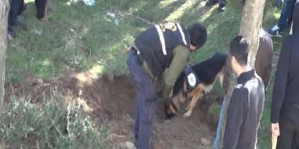 Gülsuyu'ndaki mühimmat araması sona erdi