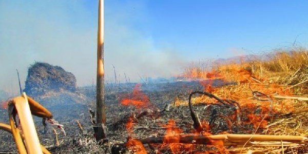 Yüksekova Kuş Cenneti alev alev