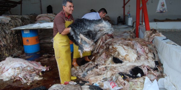 Türk Hava Kurumuna bağışlar arttı